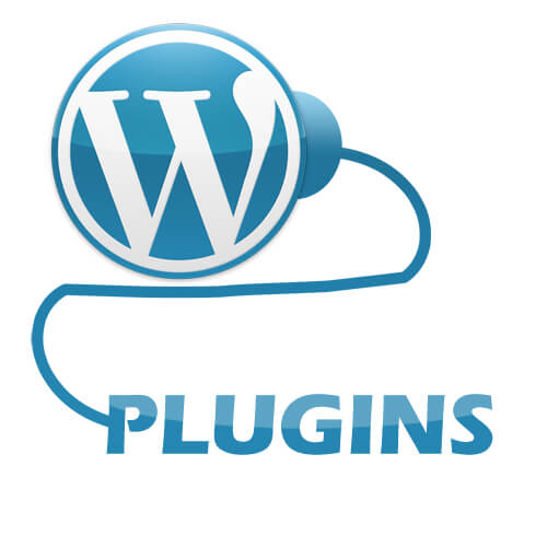 Pengertian Plugin, Fungsi Plugin, dan Cara Kerja Plugin