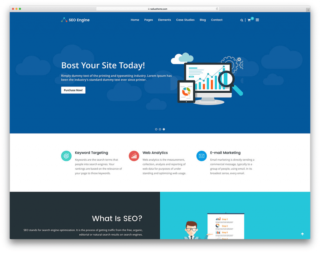 tema-wordpress-seo-friendly-8