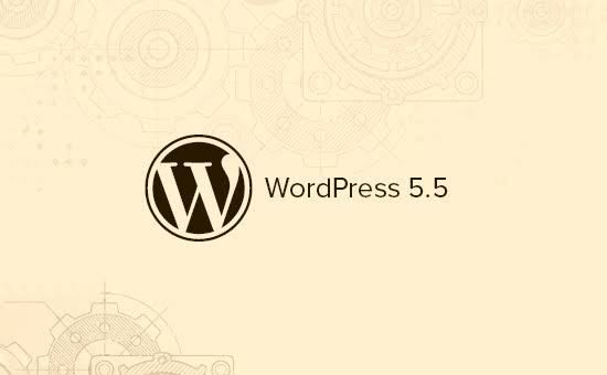 Bug di WordPress 5.5 dan Cara Memperbaikinya
