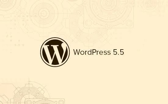 bug-wordpress-5.5