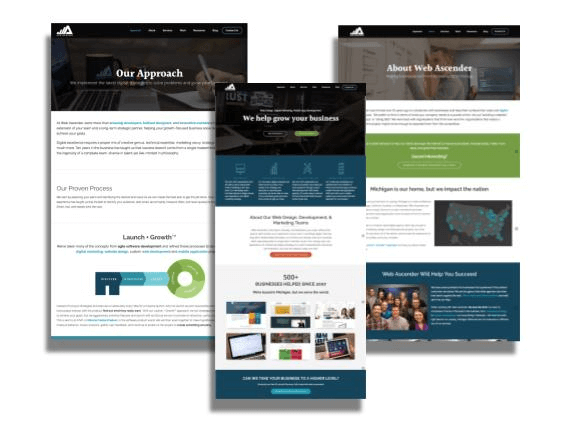 landing-page-vs-website-1
