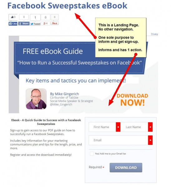 landing-page-vs-website-2