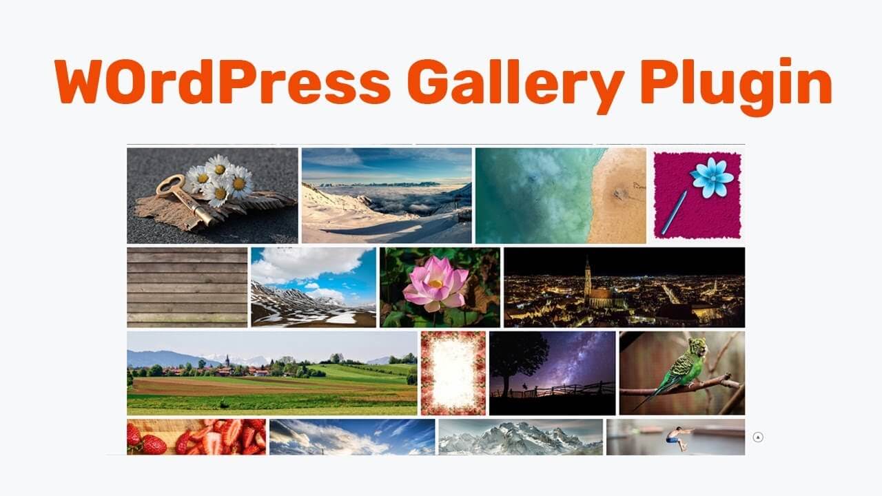 9 Plugin Gallery WordPress Terbaik Untuk Tampilan WordPress yang Menarik
