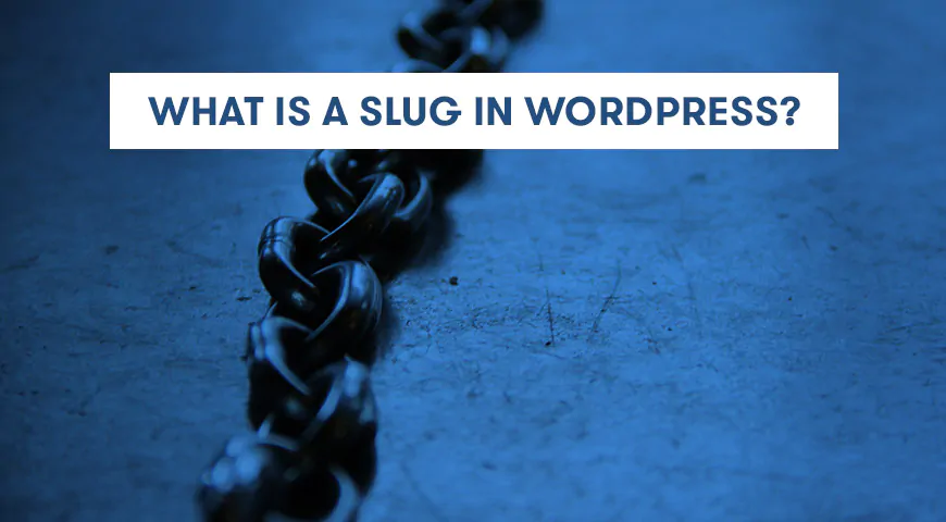 apa itu slug wordpress