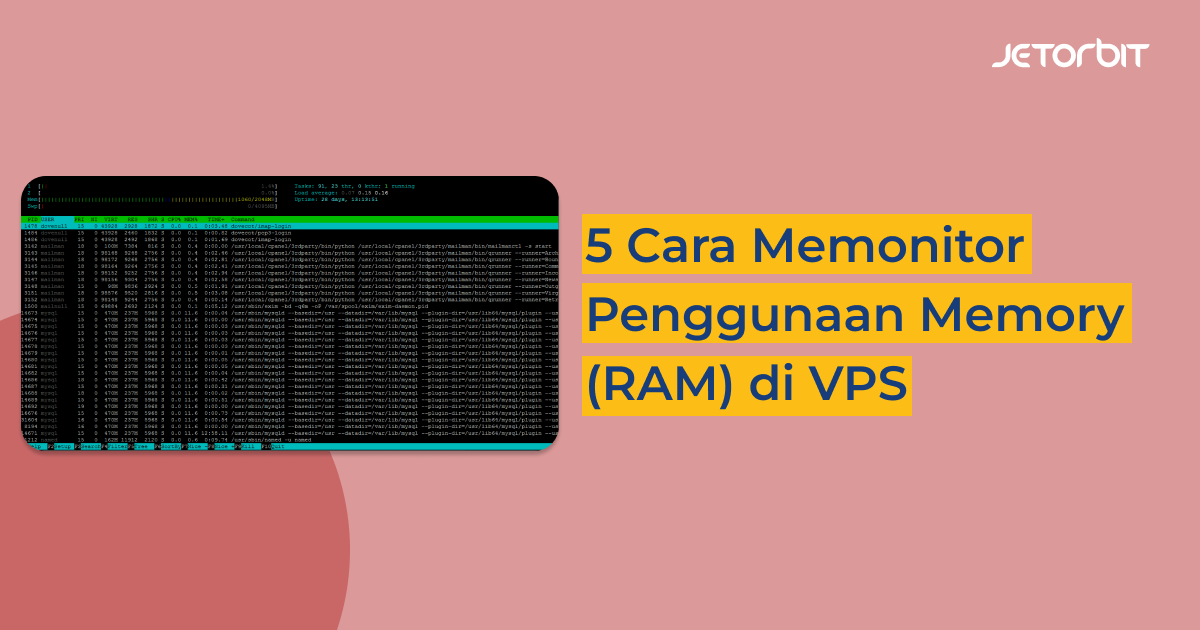 5 Cara Memonitor Penggunaan Memory (RAM) di VPS