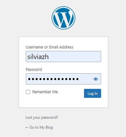 cara update wordpress 19