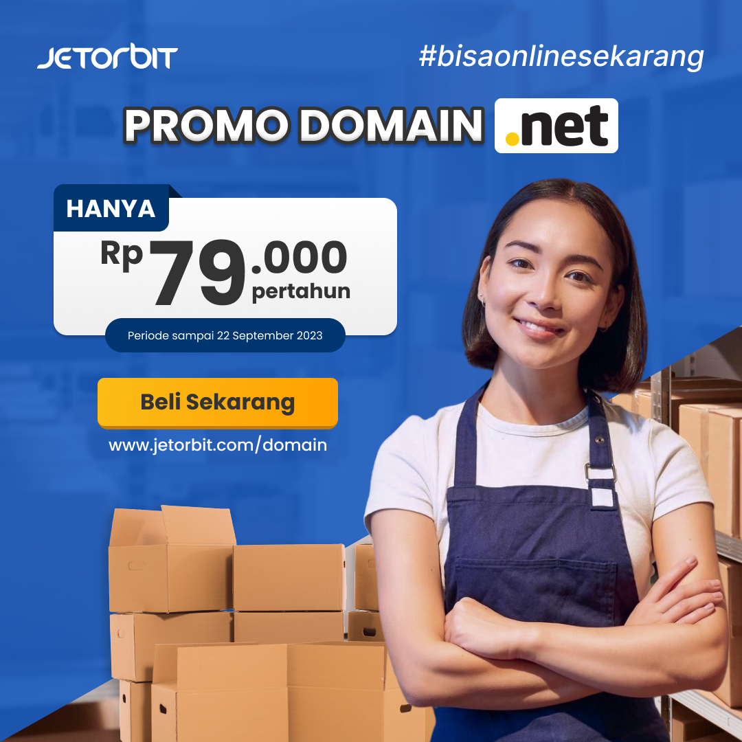 promo domain .net