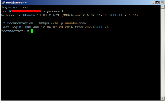pengertian remote server