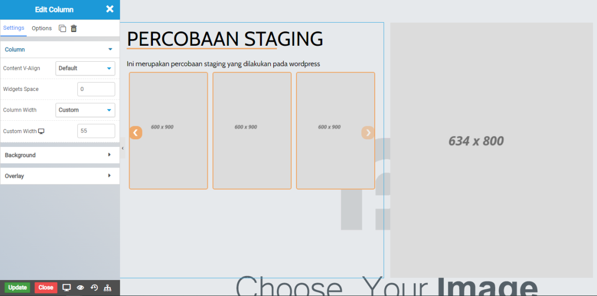 staging website