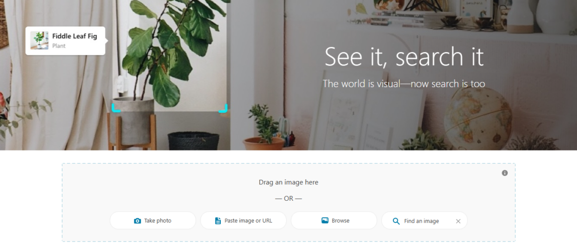 7 Tools AI Reverse Image Search Terbaik Untuk Mencari gambar