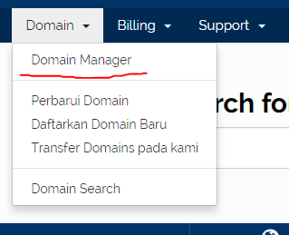 domain manager