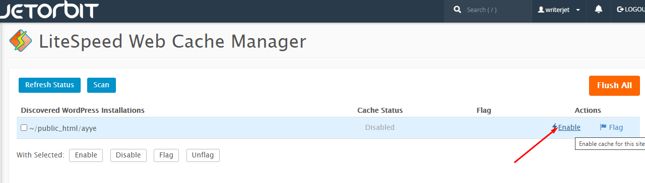 Cara Setting Litespeed Cache di Cpanel