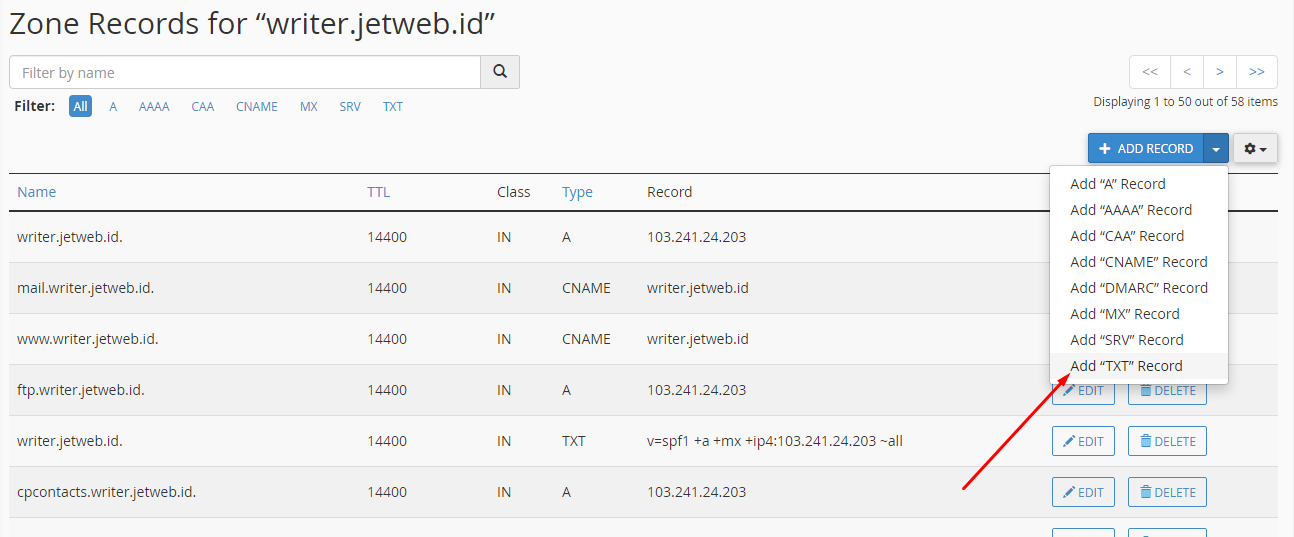 Panduan Cara Menambah DMARC Records di Cpanel