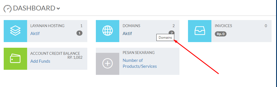 Cara Manage DNS Domain Dari Client Area