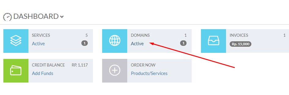 Cara Setting Redirect Domain Masking dengan URL frame