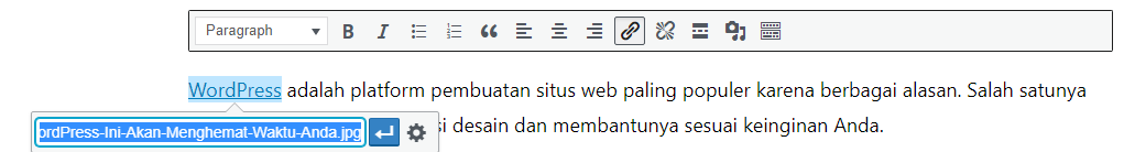 Cara Membuat Link Download Pada Website WordPress