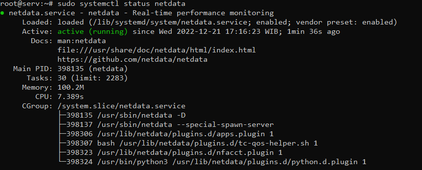 Cara Install NetData - Tool Untuk Memantau Performa Server Pada Server Linux