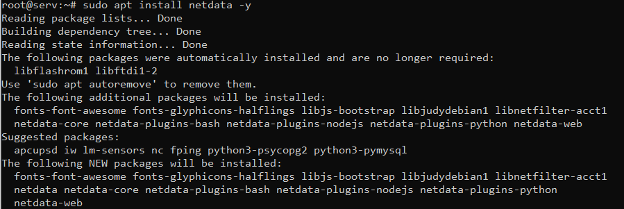 Cara Install NetData - Tool Untuk Memantau Performa Server Pada Server Linux